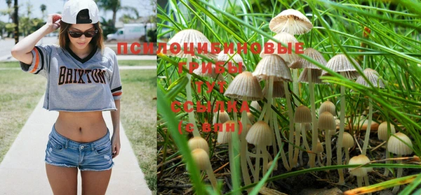 гашик Аркадак