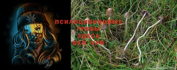 стафф Белоозёрский