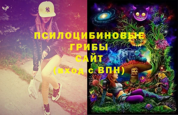 гашик Аркадак