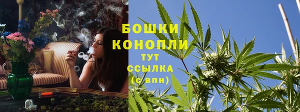 гашик Аркадак