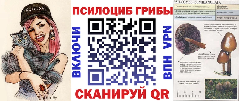 Галлюциногенные грибы Psilocybe  ссылка на мегу зеркало  Балтийск 